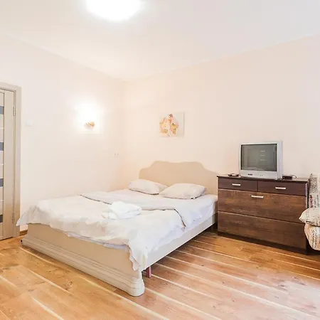 Cozy Apartments Near Olympic Stadium Kiev Dış mekan fotoğraf