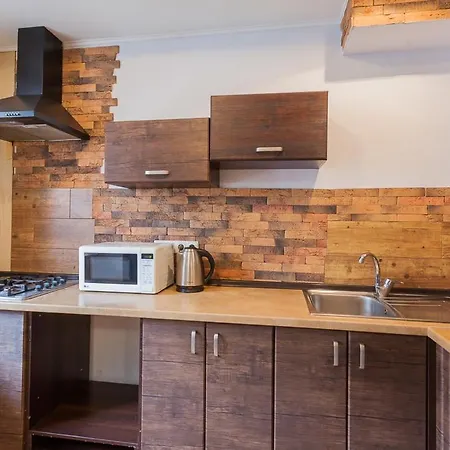 Cozy Apartments Near Olympic Stadium Kiev Dış mekan fotoğraf